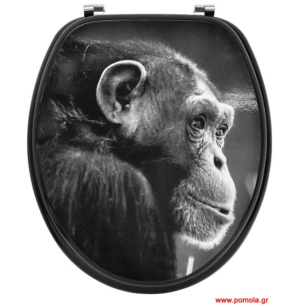 061 Καπάκι λεκάνης