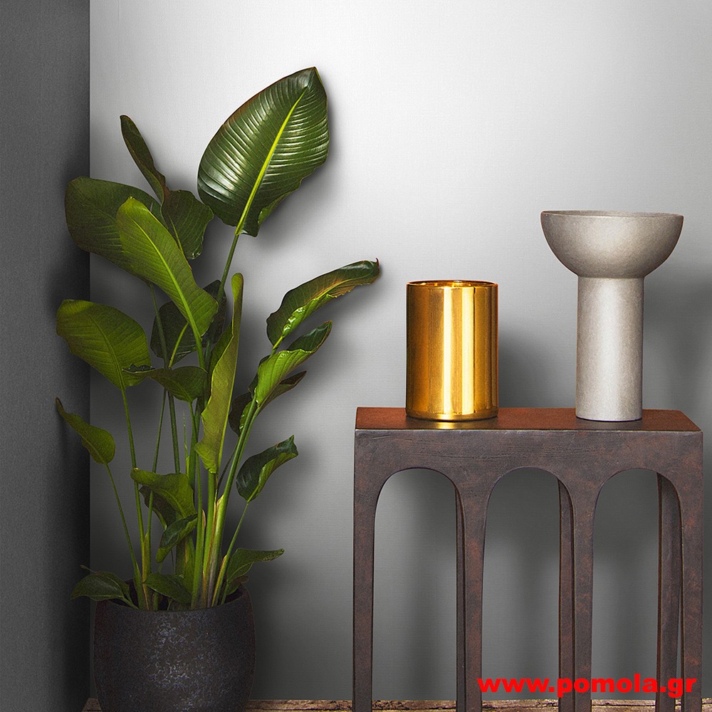 036 Ταπετσάρια τοίχου clctc zrvdks