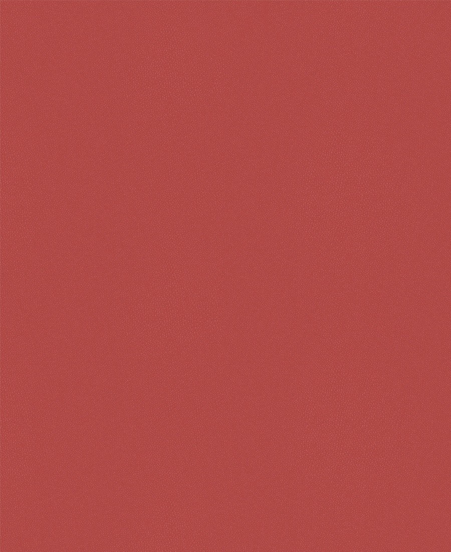 064 031VivlioZeDo