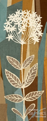 229 KamvasStillLife