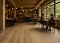 ΠΛΑΣΤΙΚΟ ΔΑΠΕΔΟ TITAN  662M WILLOW OAK 4M NewPlan