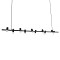 GLOBOSTAR® ALFREDA 01242 Μοντέρνο Κρεμαστό Φωτιστικό Οροφής με Ντουί 10 x E27 AC 220-240V IP20 - Μαύρο - Μ140 x Π18 x Υ7cm