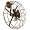 GloboStar® FAN 01381 Vintage Επιτοίχιο Φωτιστικό Απλίκα Πολύφωτο 5 x E27 IP20 Μπρούτζινο Μέταλλο - Μ46 x Π22 x Υ46cm