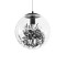 GLOBOSTAR® HARPER 01512 Μοντέρνο Κρεμαστό Φωτιστικό Οροφής με Ντουί 1 x E27 AC 220-240V IP20 - Διάφανο & Μαύρο - Μ25 x Π25 x Υ30cm