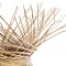 GloboStar® POPPY 01984 Boho Επιδαπέδιο Φωτιστικό Μονόφωτο 1 x E27 IP20 Μπεζ Ξύλο - Μ58 x Π58 x Υ168cm