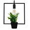 GLOBOSTAR® FLOWERPOT 10001211 Μοντέρνο Κρεμαστό Φωτιστικό Οροφής με Ντουί 1 x E27 AC 220-240V IP20 - Μαύρο & Πράσινο - Μ30 x Π30 x Υ30cm