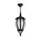 GLOBOSTAR® VERDI 203-0232 Vintage Φωτιστικό Οροφής με Ντουί 1 x E27 AC 220-240V IP44 - Μαύρο - Μ18 x Π18 x Υ33cm