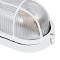 GLOBOSTAR® BOATLIGHT 61582 Vintage Φωτιστικό Καραβοχελώνα Τοίχου - Απλίκα με Ντουί 1 x E27 AC 220-240V Αδιάβροχο IP65 - Λευκό Ματ - Μ21 x Π10.4 x Υ9cm