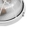 GLOBOSTAR® BOATLIGHT 61588 Vintage Φωτιστικό Καραβοχελώνα Τοίχου & Οροφής με Ντουί 2 x E27 AC 220-240V Αδιάβροχο IP65 - Λευκό Ματ - Μ24 x Π24 x Υ11cm
