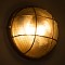 GLOBOSTAR® BOATLIGHT 61590 Vintage Φωτιστικό Καραβοχελώνα Τοίχου & Οροφής με Ντουί 2 x E27 AC 220-240V Αδιάβροχο IP65 - Μπρονζέ Εφέ Σκουριάς Ματ - Μ24 x Π24 x Υ11cm