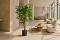 FICUS TREE NP0078_120   YΨΟΣ 120cm NewPlan