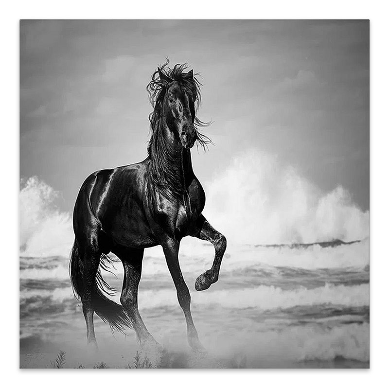 Πίνακας σε καμβά \"Black Horse\" Megapap ψηφιακής εκτύπωσης 60x60x3εκ.