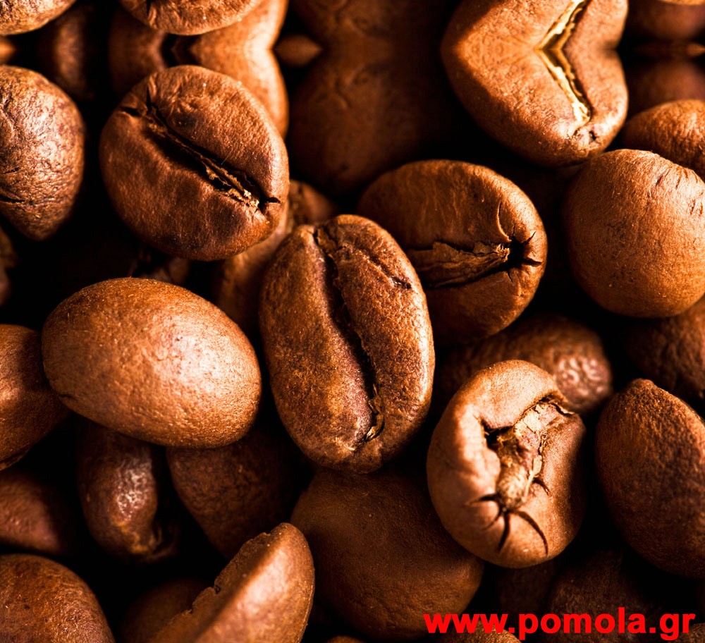 056 Kουρτινα με Ψηφιακη Εκτυπωση 280 πλατος χ 245 υψος