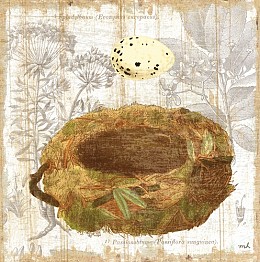 193 KamvasStillLife