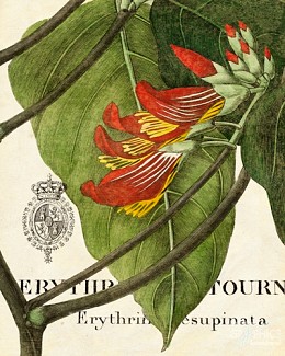 269 KamvasStillLife