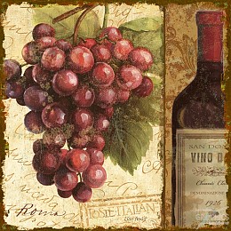 272 KamvasStillLife