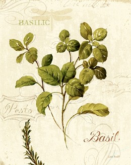 375 KamvasStillLife