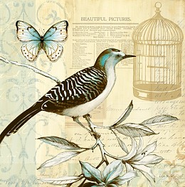 391 KamvasStillLife