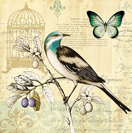392 KamvasStillLife