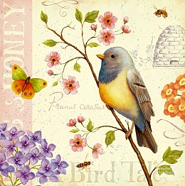 405 KamvasStillLife