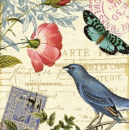 452 KamvasStillLife