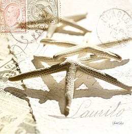 474 KamvasStillLife