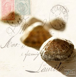 475 KamvasStillLife