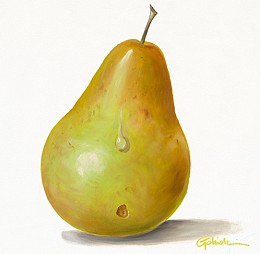 517 KamvasStillLife