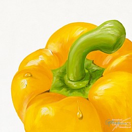 522 KamvasStillLife