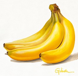531 KamvasStillLife