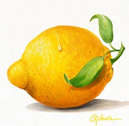 535 KamvasStillLife