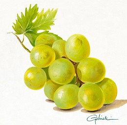 537 KamvasStillLife