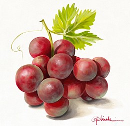 538 KamvasStillLife