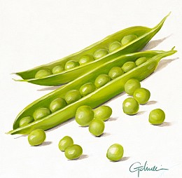 539 KamvasStillLife