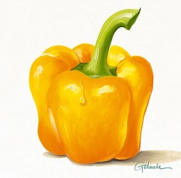 540 KamvasStillLife