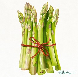 542 KamvasStillLife