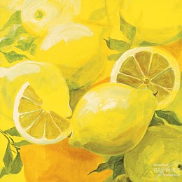 549 KamvasStillLife