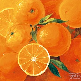 551 KamvasStillLife