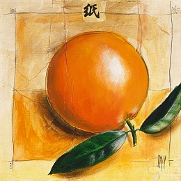 556 KamvasStillLife