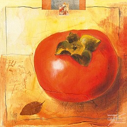 558 KamvasStillLife