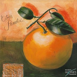 560 KamvasStillLife