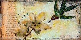 566 KamvasStillLife