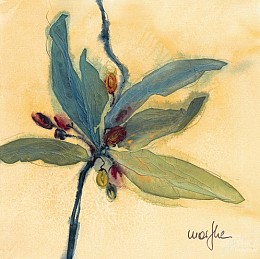 658 KamvasStillLife