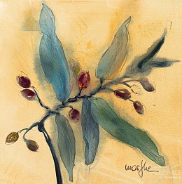 659 KamvasStillLife