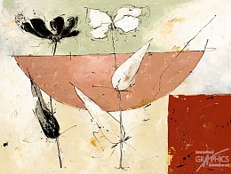 664 KamvasStillLife