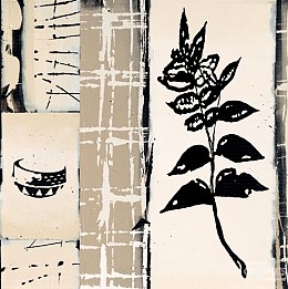676 KamvasStillLife