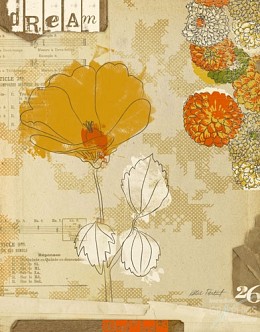 694 KamvasStillLife