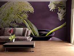 100 fototapetsaria imagination