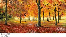 280 landscapes