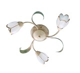 MX10500E-3 CAREN Δ4